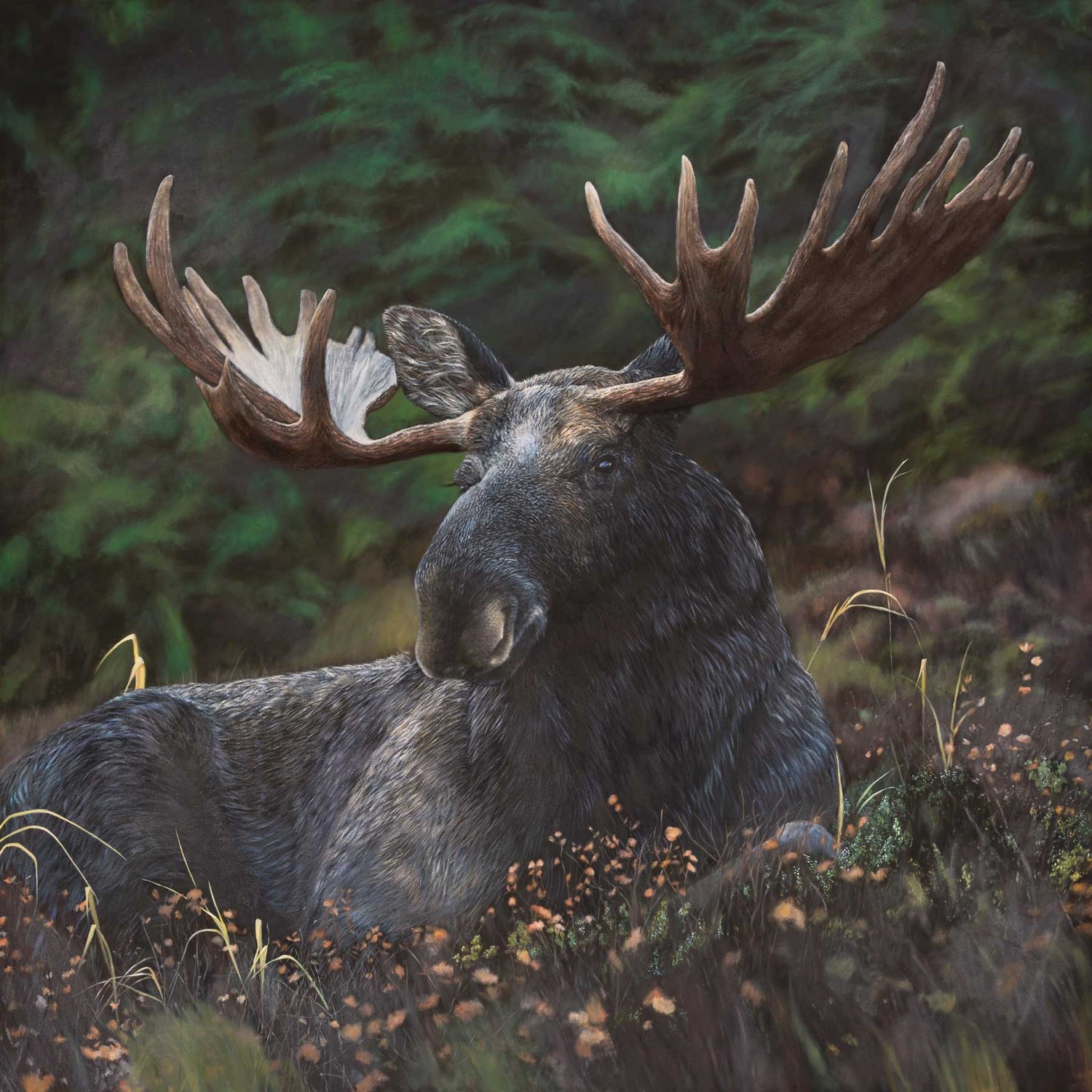 Wildlife