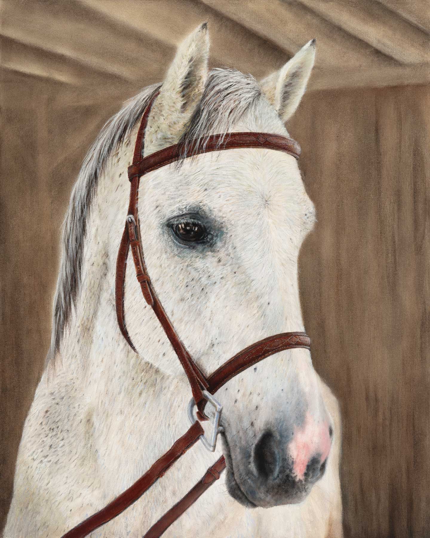 White horse with a brown bridle in a stable setting