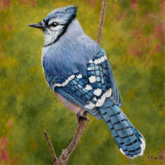 Wind Talker