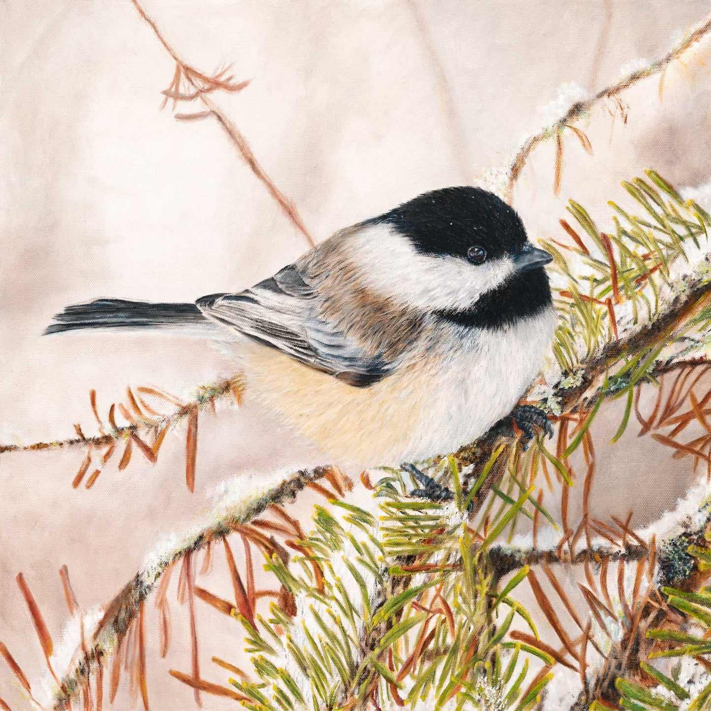 Chickadee