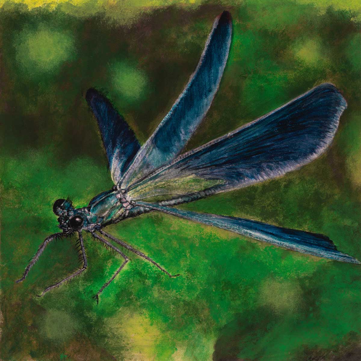 Artistic depiction of a dragonfly on a green background