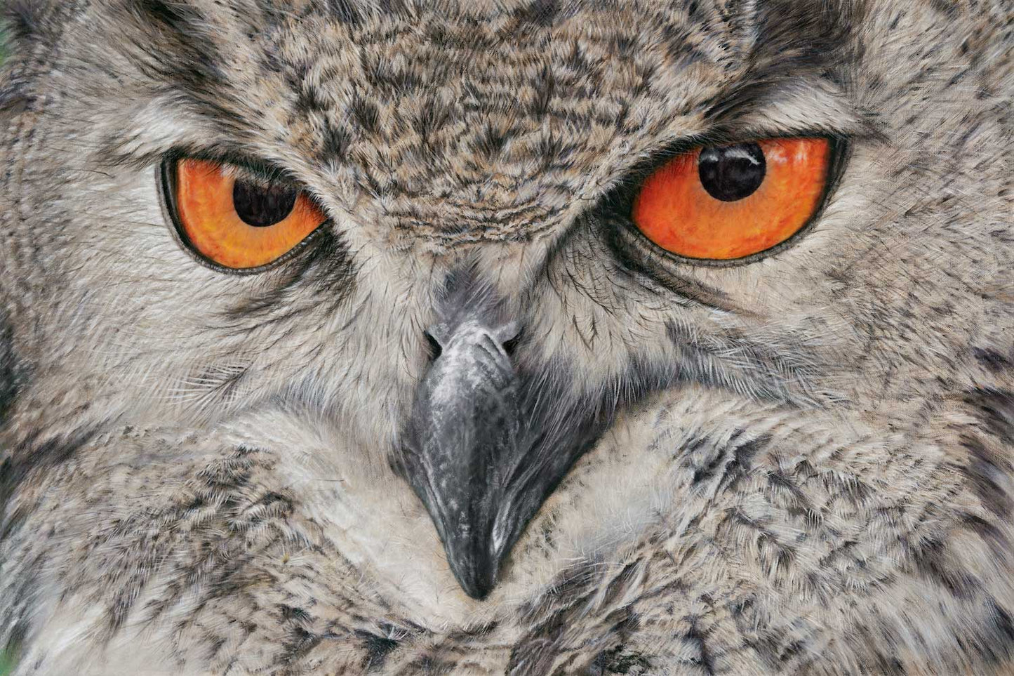 Close-up of an owl with orange eyes and detailed feathers.