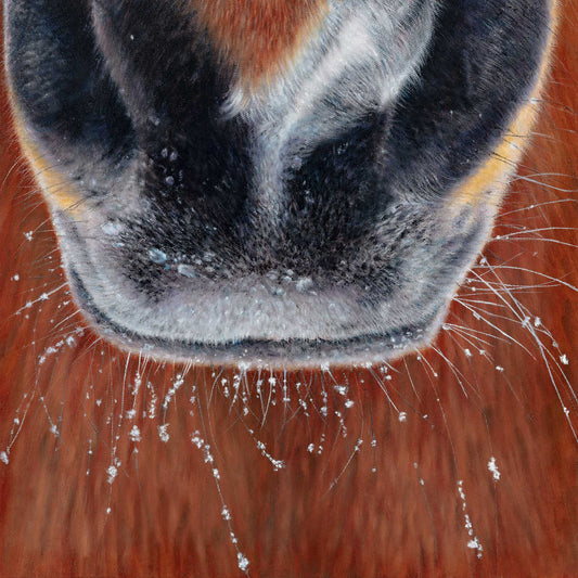 Winter Whiskers