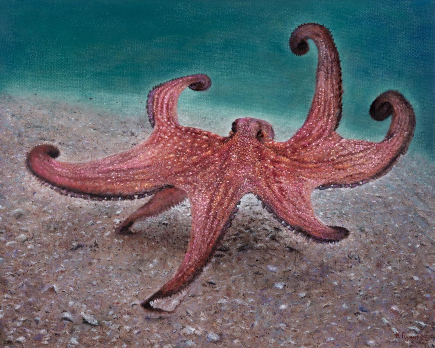 A painted underwater scene showing a reddish-brown octopus on a sandy seabed with teal-blue water above.
