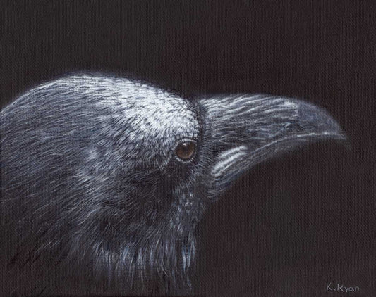 Wings of Darkness