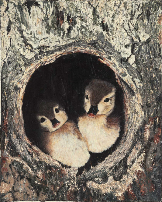 Wood Ducks